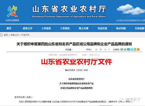 山东启动省级知名农产品品牌申报竞赛，推动农业品牌化发展